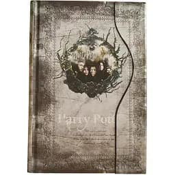 Дневник GeekLand Harry Potter серебристый 6.38.5