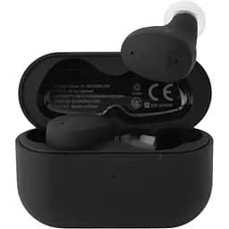 Навушники Final Audio TWS ZE300 Black (90404211)