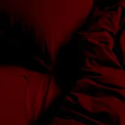 Комплект постільної білизни Cosas Ruby CS1 Євро варена бавовна бордо (79WashedCotton_Bordo_El180x30-Bordo_200) - мініатюра 2