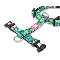 Набір для котів Шлея-повідець Max & Molly Harness Tropical 1 розмір  - мініатюра 2