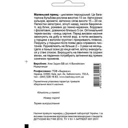 Насіння квітів Садиба Центр Цикламен Маленький принц суміш F1, 3 шт. (000003495) - мініатюра 2