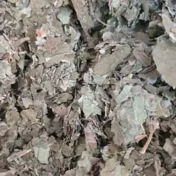 100 г виноград лист сушеный - свежий урожай