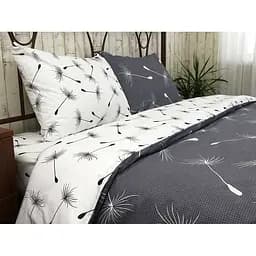 Комплект постельного белья Руно полуторный безь набивная (1.114Б Fly)