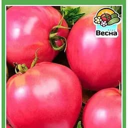 Семена Весна Томат Ранняя любовь 0.1 г (10536)