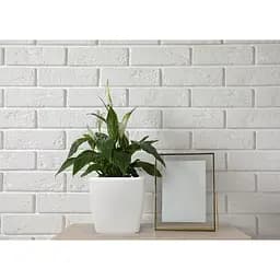 Вазон Plastkon Quadrato Flower Lover 25x25x24 см білий - мініатюра 4