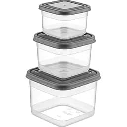 Набір контейнерів для зберігання продуктів Freshlife квадратні 3 шт. 0.3 л, 0.6 л, 1.2 л (D-416-03)