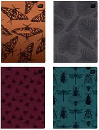 Набор тетрадей Interdruk Dark natyre линейка A5 80 листов 4 шт. (299024-4)