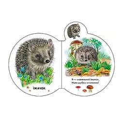 Картонна книжечка для найменших Видавництво Ранок Малята: У лісі аудіо-бонус - мініатюра 4