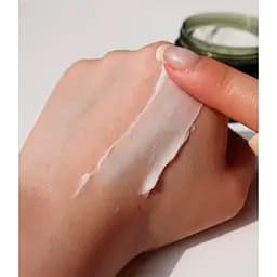 Відновлювальний крем Heimish Matcha Biome Intensive Repair Cream Blister 5 мл - мініатюра 3