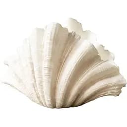 Ваза декоративная в форме ракушки J-line ручная работа (40543)