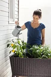 Грядка Keter Easy grow сірий (7290103660833) - мініатюра 6