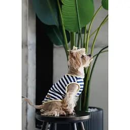 Майка Pet Fashion Tropic для собак XS2 - мініатюра 8