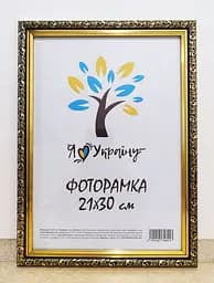 Фоторамка 21Х30, (А4), коричнева із золотим обрамленням, 2115В-05, ОРГСКЛО+ДВП                                                                    