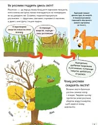 Хочу все знати про рослини - мініатюра 5