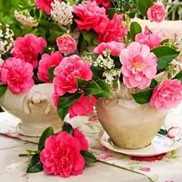 Алмазна мозаїка зі стразами на підрамнику повна викладка Рожеве натхнення 30*30см Квіти