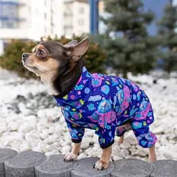 Дощовик для собак WAUDOG Clothes з малюнком Рік і Морті 1 XS30, висота 43-45 см, обхват 27-30 см