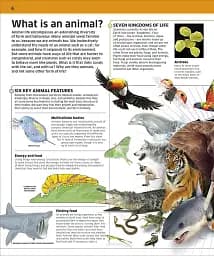 Knowledge Encyclopedia Animal! - мініатюра 2