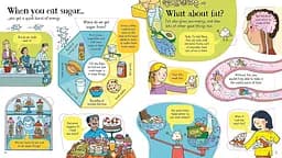 Look Inside What Happens When You Eat - Емілі Боун - мініатюра 2