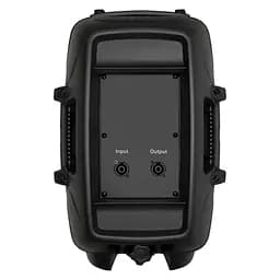 Пассивная акустическая система BIG JB10L250 8Ohm - мініатюра 3