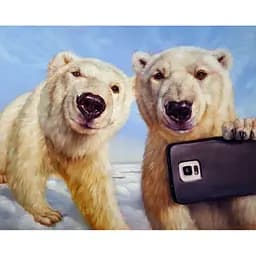 Картина постер на полотні BrushMe Полярограм