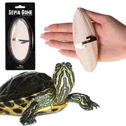 Сепія для черепах, природний вапняк для рептилій Terrario Sepia Bone 10-15см - мініатюра 5