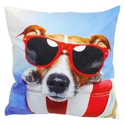 Наволочка Dog with popcorn