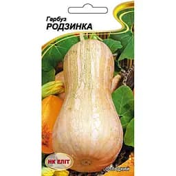 Насіння НК Еліт Гарбуз Родзинка 10 шт. (76536)
