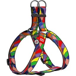 Шлейка для собак Waudog Nylon с QR паспортом, рисунок "Витраж", пластиковый фастекс, XL