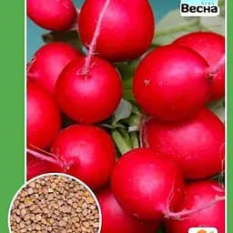 Редис "Ранний урожай" (Новый пакет) ТМ "Весна" 2г (24632)