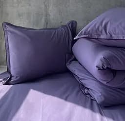Комплект постельного белья двуспальный евро 200х220 см вареный хлопок White Dream Фиолетовый (Grape)