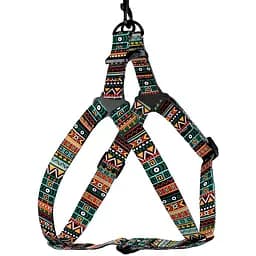 Шлея для собак BronzeDog Urban Етнічний ментол M 45-56 см