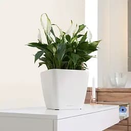 Вазон Lechuza Quadro Premium LS 35 антрацит (16163) - мініатюра 5