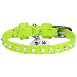 Нашийник для собак Waudog Glamour, шкіряний, зі стразами, з QR паспортом, XS, 19-25х0,9 см, салатовий