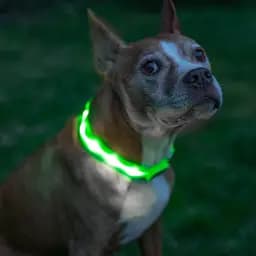 Нашийник  UFT PET LED 1 з підсвічуванням на батарейках для собак L Green - мініатюра 2