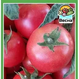 Семена Весна Томат Ляна розовая 0.2 г (10510)