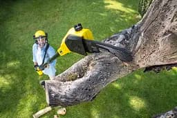 Висоторіз Karcher PSW 18-20 Battery (1.444-010.0) - мініатюра 2