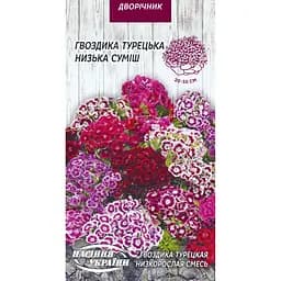 Семена Гвоздика турецкая низкая Насіння України смесь 0.25 г (752300)