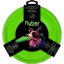 Літаюча тарілка Flyber, 22 см, салатова