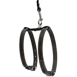 Шлея для собак з повідцем Collar, шкіра, для міні порід, 27-35х35-45х1,4 см/122 см, чорний (5471) - мініатюра 2
