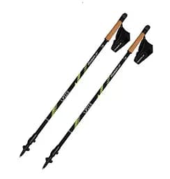 Палки для скандинавской ходьбы PowerPlay 9111 Lykke Green 80-135 см (пара) + 2-и пары сапог + чехол (PP_9111_Green)