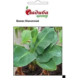 Банан комнатный Садиба Центр 3 шт. (000003479)
