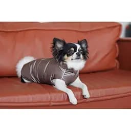 Жилет Pet Fashion Hardy для собак розмір M2 - мініатюра 4