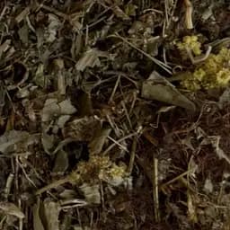 Збір трав'яний жовчнокам'яний, при камені в жовтому міхурі, 100 г, (Своє виробництво)