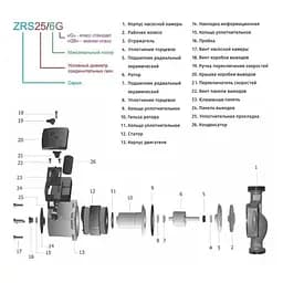 Циркуляційний насос Zegor ZRS25/6GB-130 з гайками і кабелем 30412 - мініатюра 3