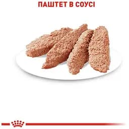 Набір вологого корму для дорослих кішок Royal Canin Instinctive Loaf  паштет 1.02 кг (12 шт. х 85 г) - мініатюра 3