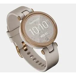 Захисна плівка DK Composite Film box для Garmin Lily (gold) - мініатюра 3