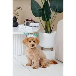 Аксесуар для собак Pet Fashion Deer XS-S - мініатюра 4
