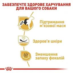 Сухий корм для дорослих собак породи Французький Бульдог Royal Canin French Bulldog Adult, 9 кг (3991090) - мініатюра 5