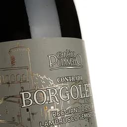 Вино ігристе Puianello Contrada Borgoleto Lambrusco Reggiano DOC червоне напівсолодке 0.75 л - мініатюра 3