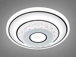 Світильник настінно-стельовий LED Diasha 2110, 33W, круглий, 20 см, акрил, смарт з пультом, сучасний стиль - мініатюра 2